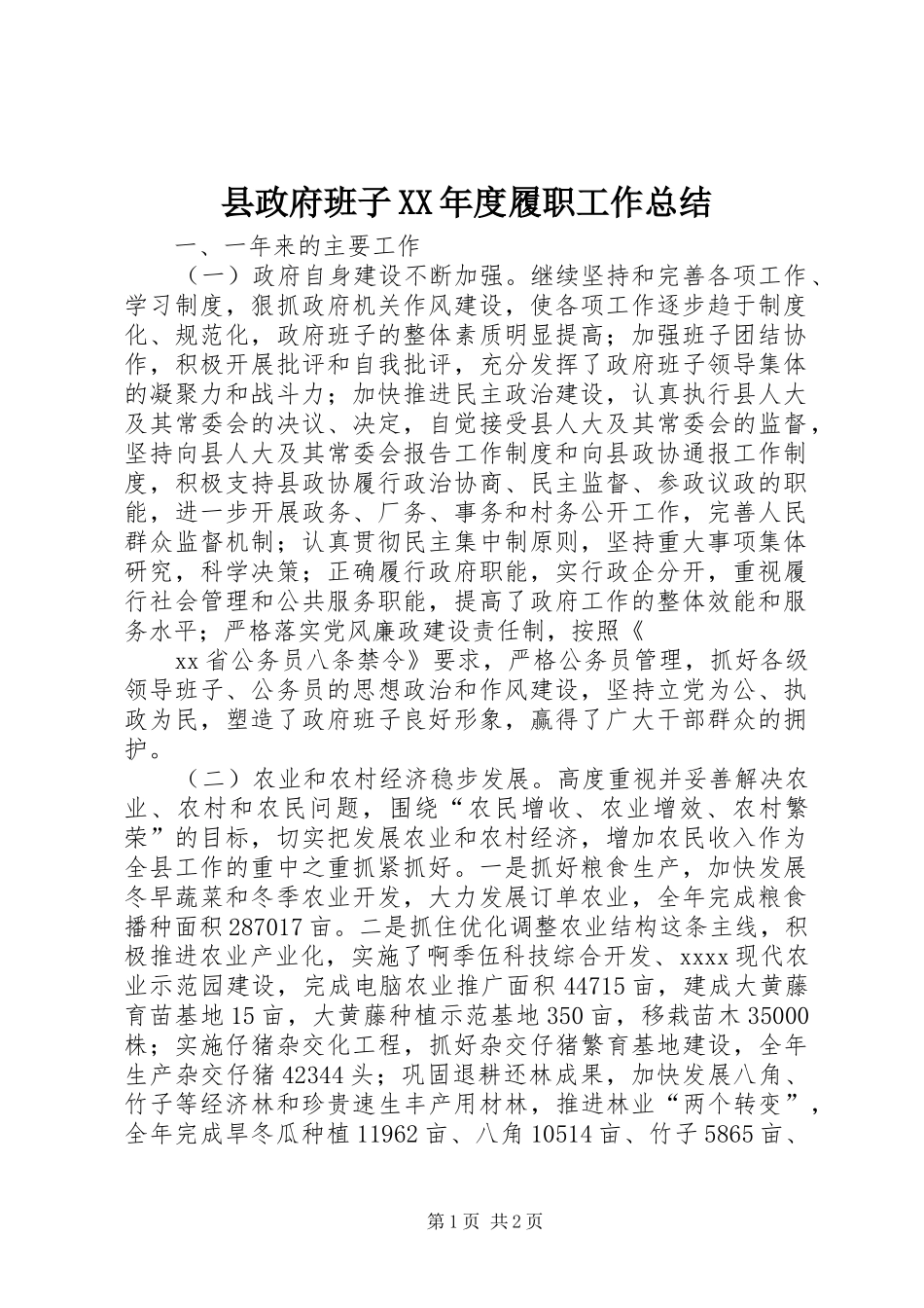 县政府班子XX年度履职工作总结_第1页