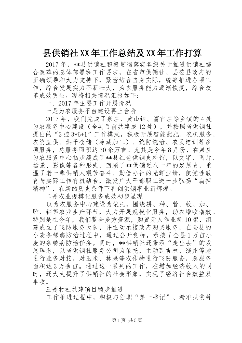 县供销社XX年工作总结及XX年工作打算_第1页