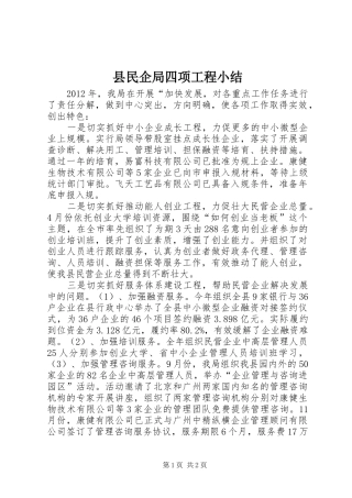 县民企局四项工程小结