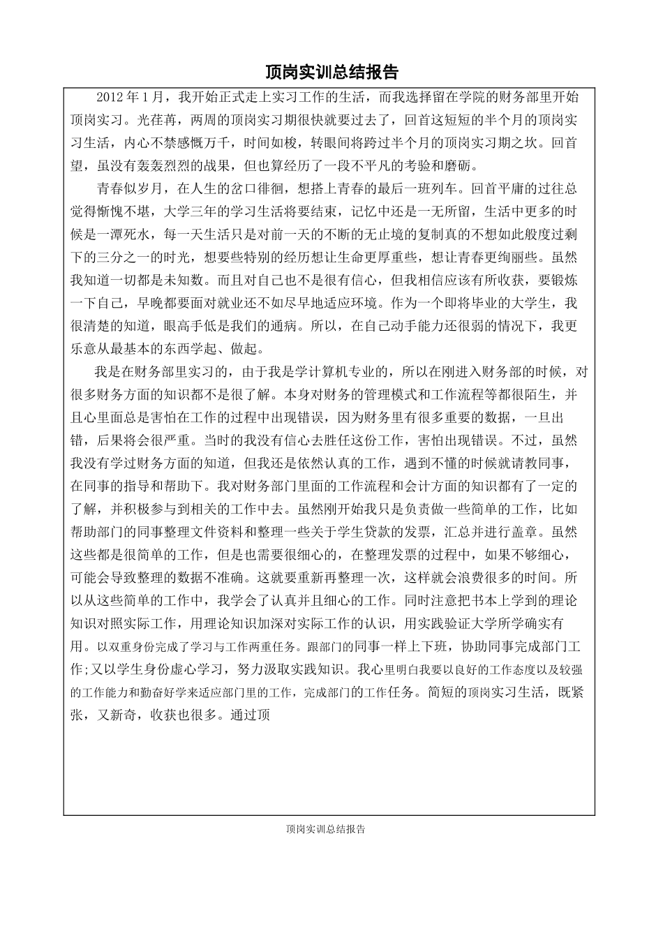 财务顶岗实训报告_第2页