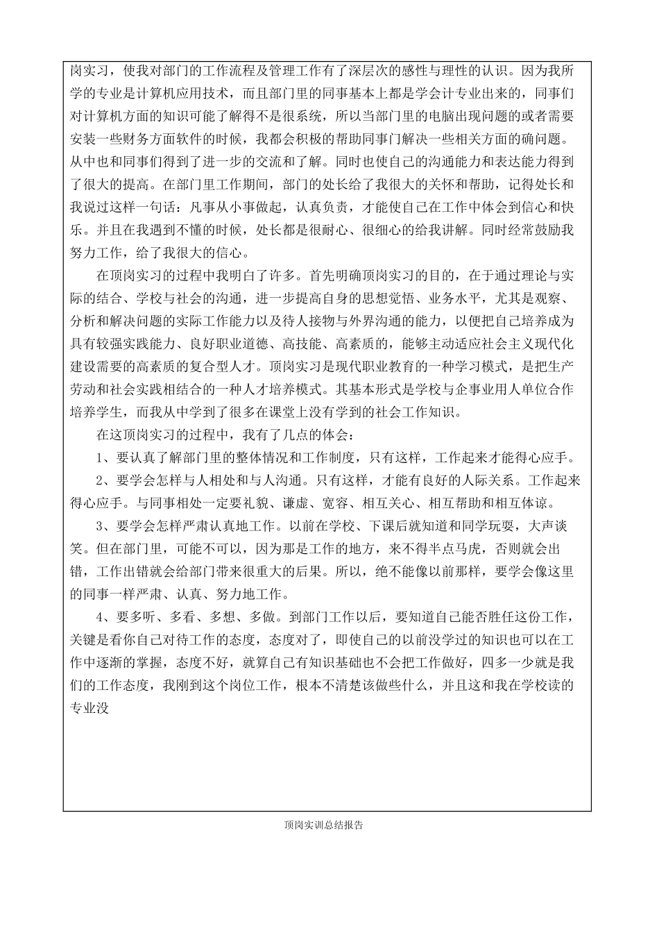 财务顶岗实训报告_第3页