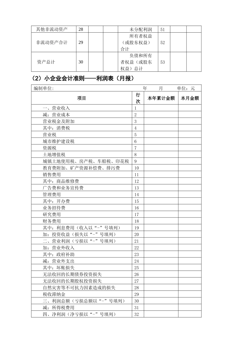 XXXX版财务会计报表表样_第3页