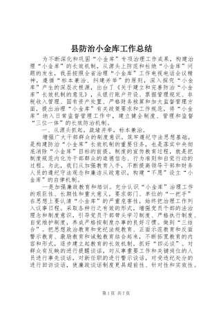 县防治小金库工作总结
