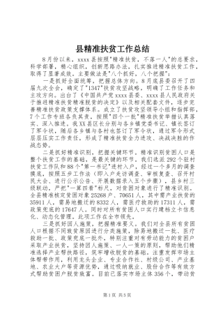 县精准扶贫工作总结
