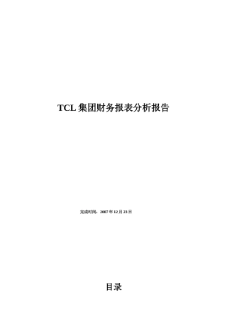 TCL集团财务报表分析报告