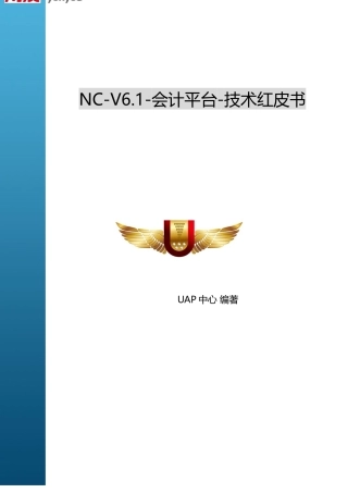 NCV61-会计平台-技术红皮书(整理后)