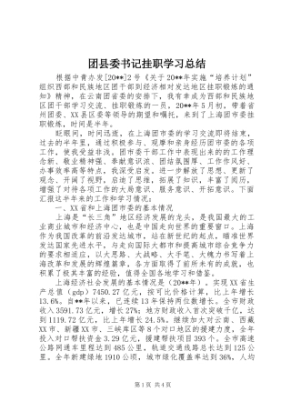 团县委书记挂职学习总结