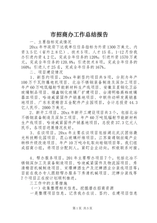 市招商办工作总结报告