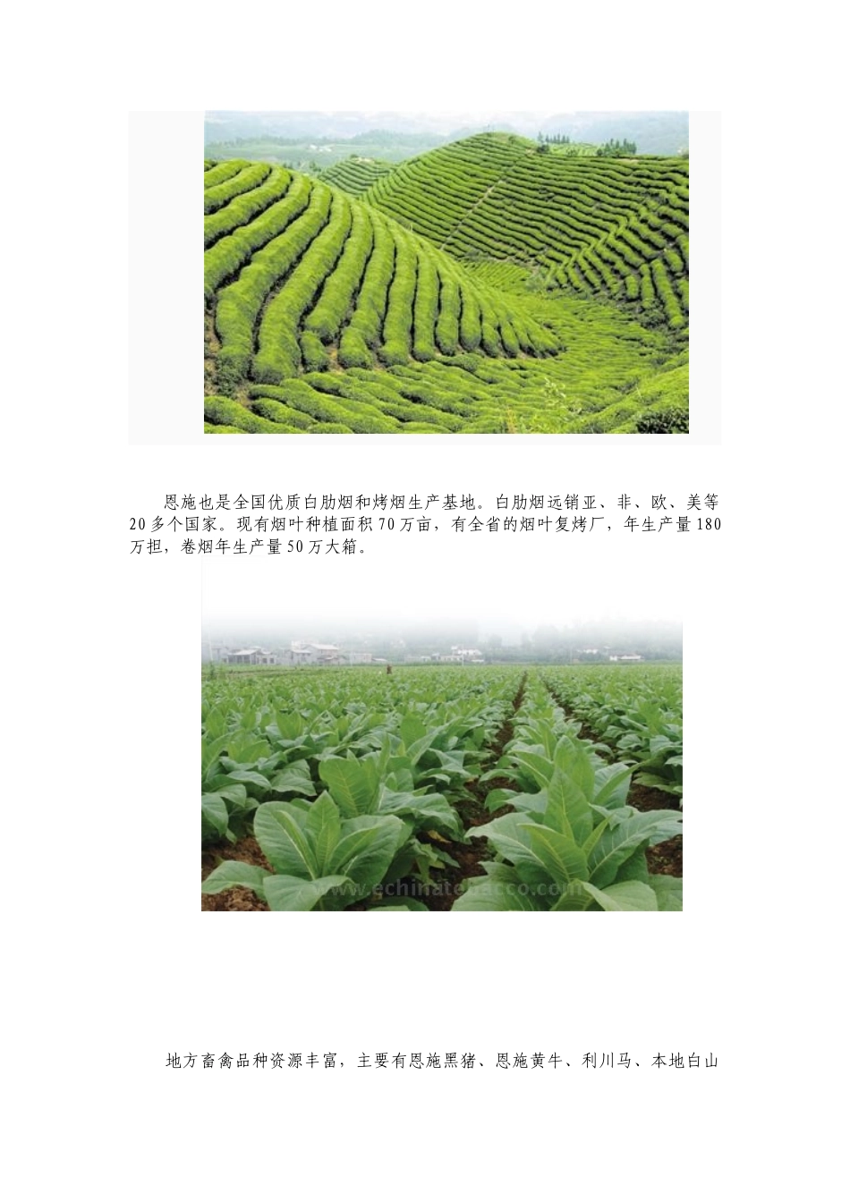 恩施州产业结构及经济资源_第2页