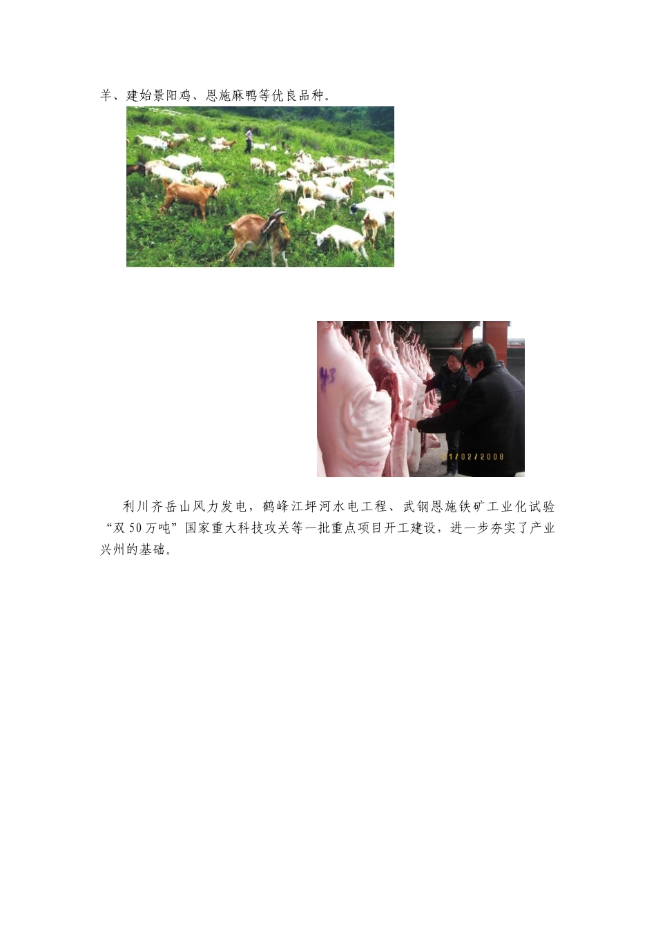 恩施州产业结构及经济资源_第3页