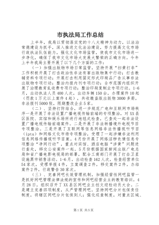 市执法局工作总结