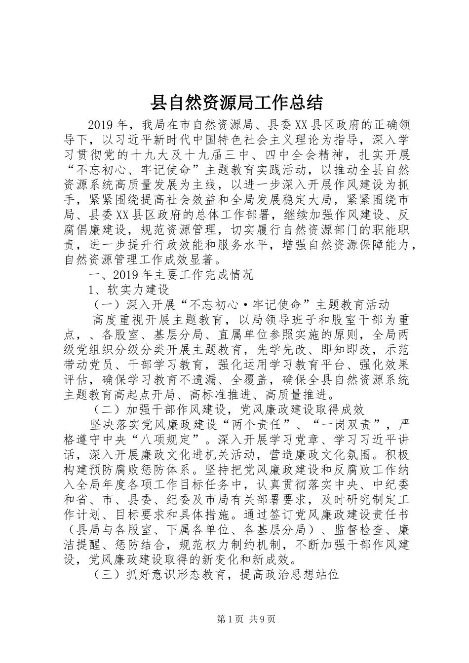 县自然资源局工作总结_第1页