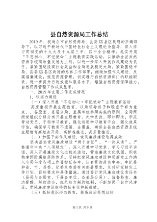 县自然资源局工作总结