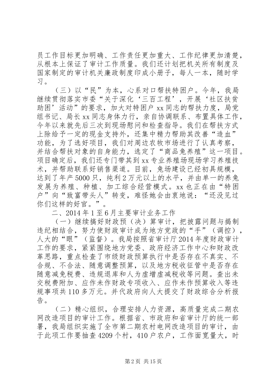 市审计局上半年工作总结(精选多篇)_第2页