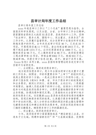县审计局年度工作总结