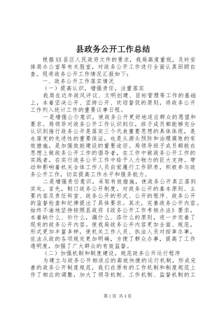 县政务公开工作总结