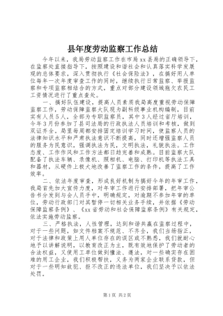 县年度劳动监察工作总结
