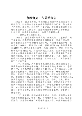 市粮食局工作总结报告