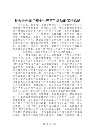 县关于开展“安全生产年”活动的工作总结