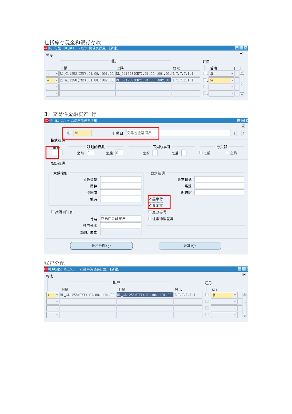 FSG资产负债表的设置_第3页