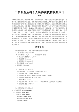 工资薪金个人所得税代扣代缴审计