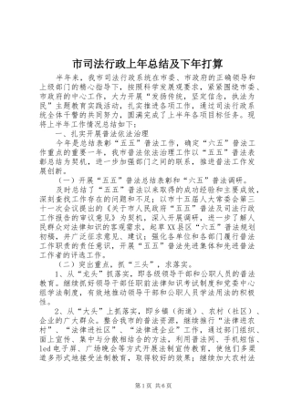 市司法行政上年总结及下年打算
