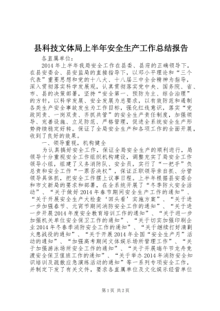 县科技文体局上半年安全生产工作总结报告