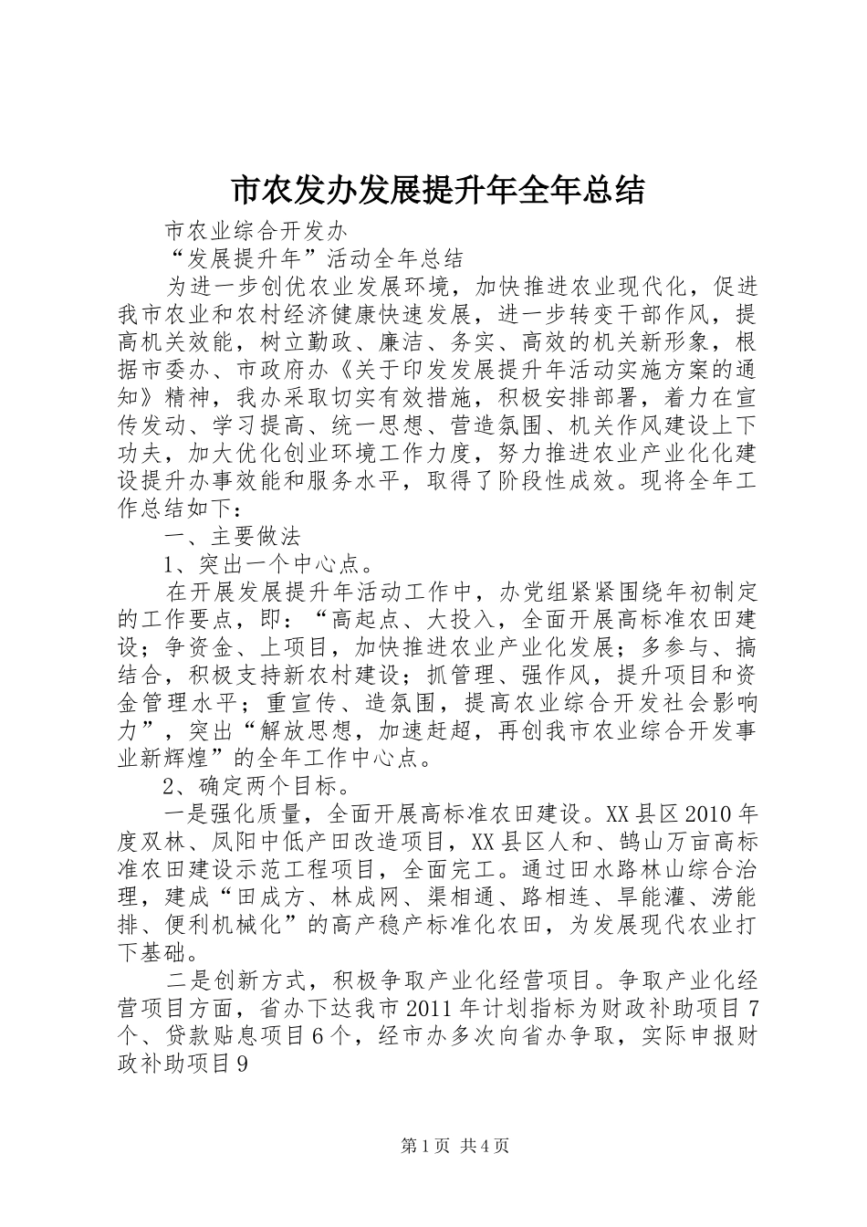 市农发办发展提升年全年总结_第1页