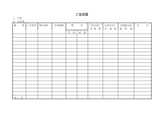 广告费用预算表