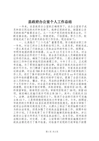 县政府办公室个人工作总结