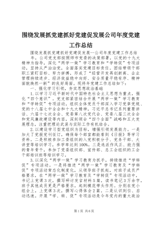 围绕发展抓党建抓好党建促发展公司年度党建工作总结