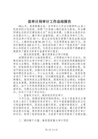 县审计局审计工作总结报告