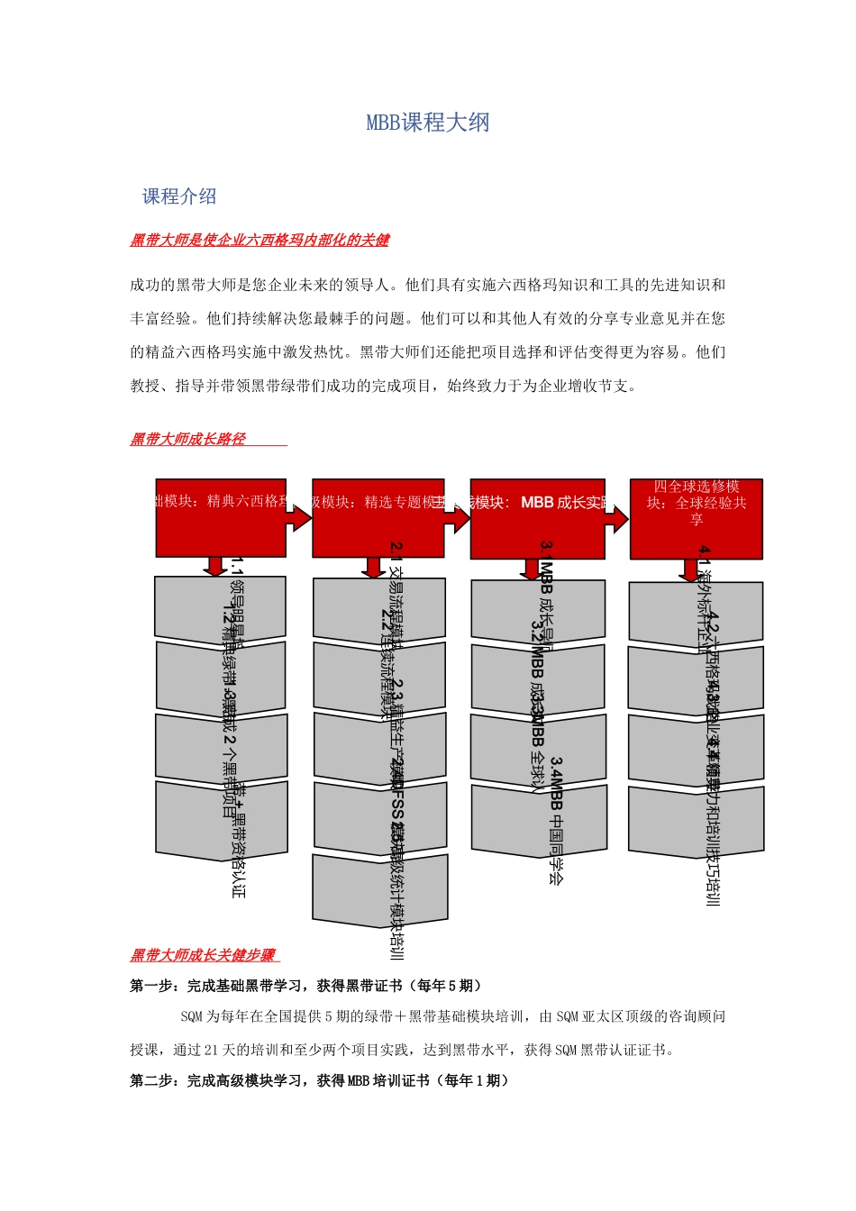 MBB课程大纲课程介绍黑带大师是使企业六西格玛内部化的关_第1页