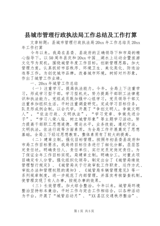 县城市管理行政执法局工作总结及工作打算