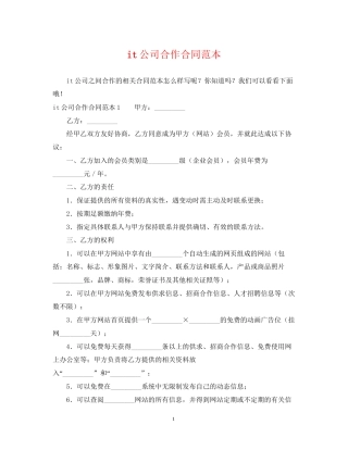 it公司合作合同范本