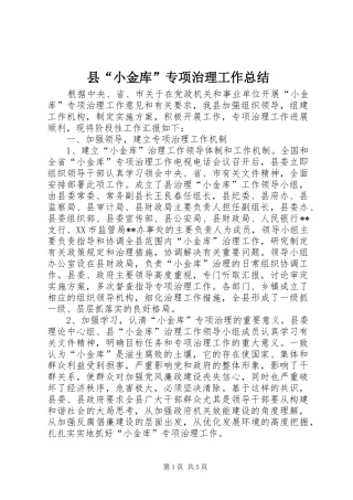 县“小金库”专项治理工作总结