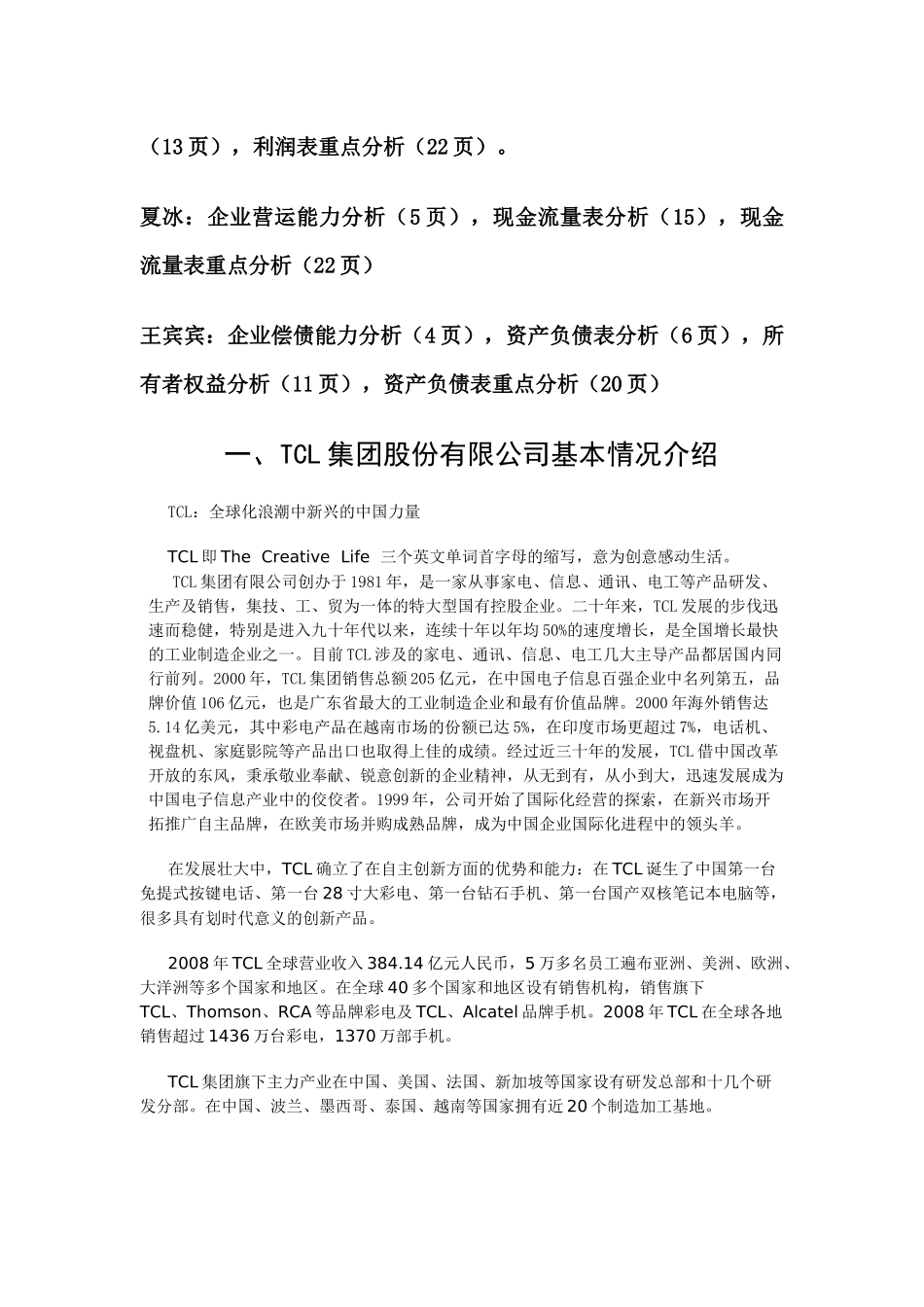 TCL公司财务分析报告( 23页)_第2页