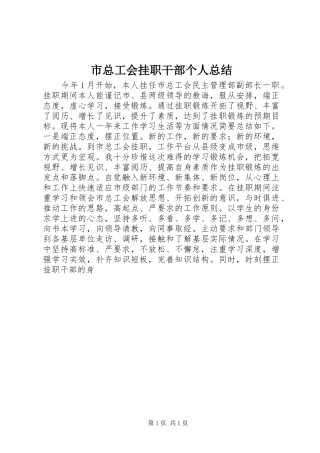 市总工会挂职干部个人总结