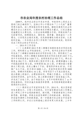 市农业局年度农村治理工作总结