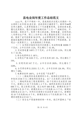 县电业局年度工作总结范文