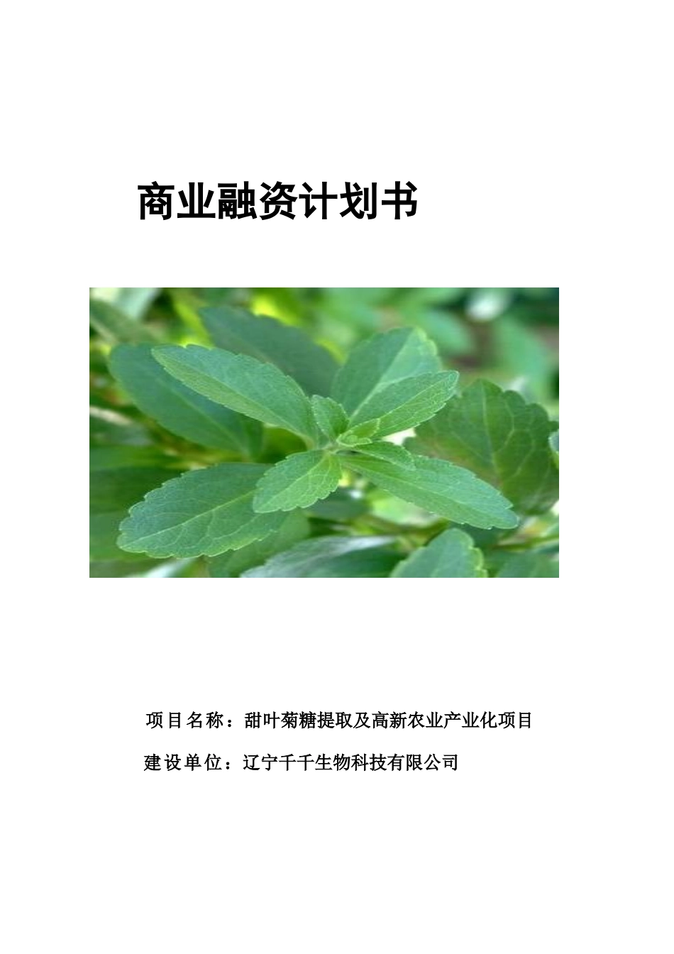 对外发布千千商业融资计划书_第1页