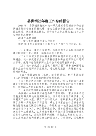 县供销社年度工作总结报告