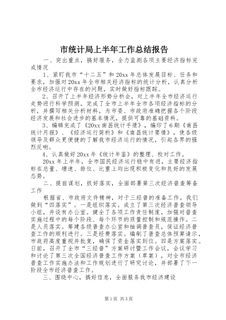 市统计局上半年工作总结报告