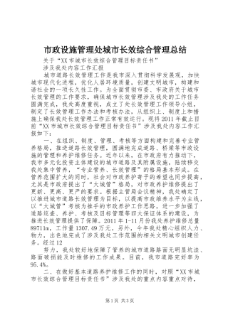 市政设施管理处城市长效综合管理总结