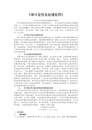《审计定性及处理处罚》