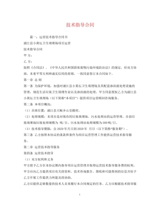 技术指导合同