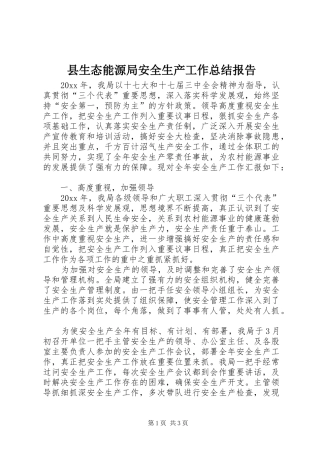 县生态能源局安全生产工作总结报告