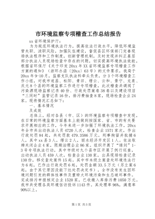 市环境监察专项稽查工作总结报告
