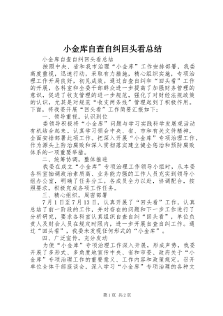 小金库自查自纠回头看总结