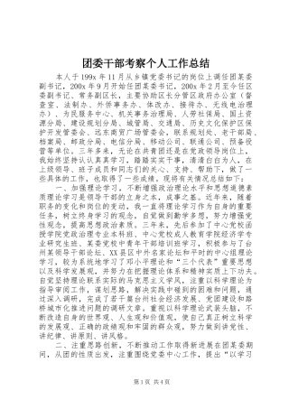 团委干部考察个人工作总结